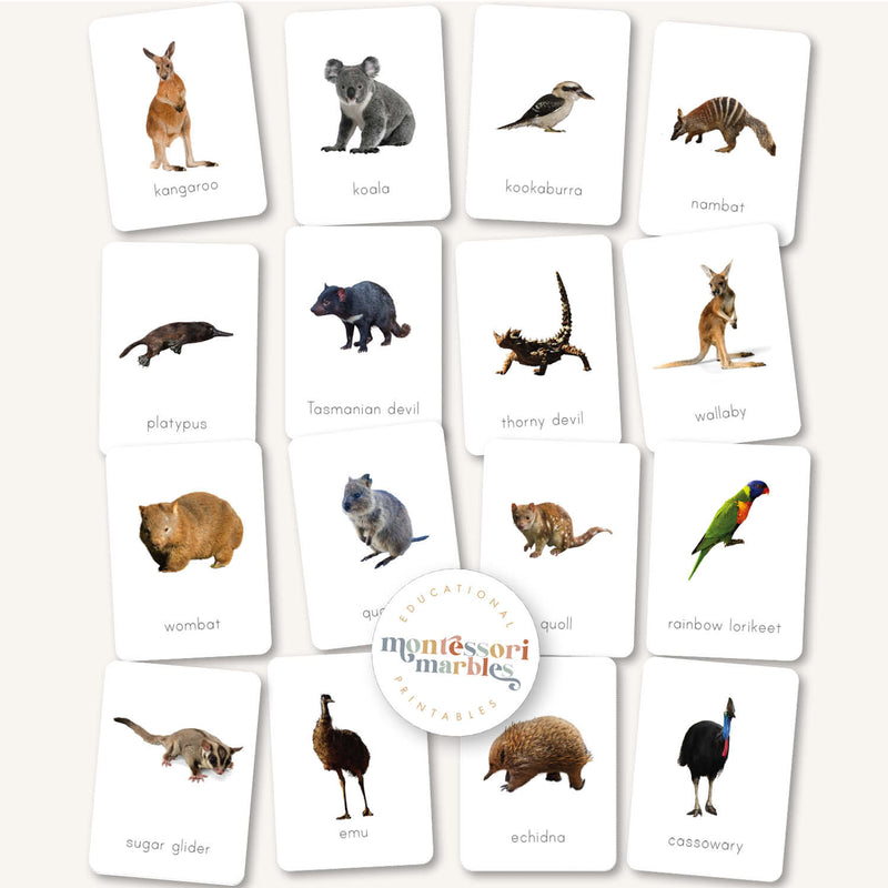 Australian Animals Flash Cards