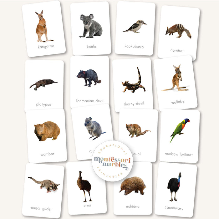 Australian Animals Flash Cards