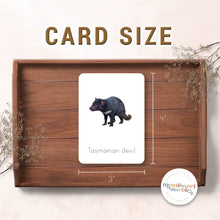 Load image into Gallery viewer, Australian Animals Flash Cards
