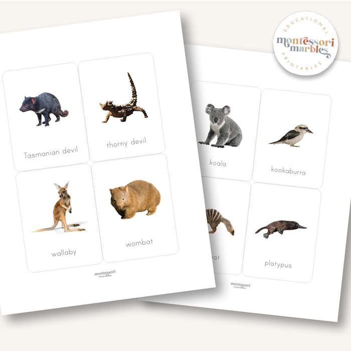 Australian Animals Flash Cards