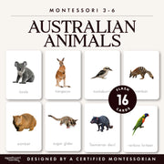Australian animals flash cards from Oceania
