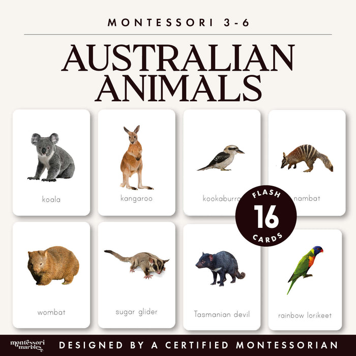 Australian Animals Flash Cards