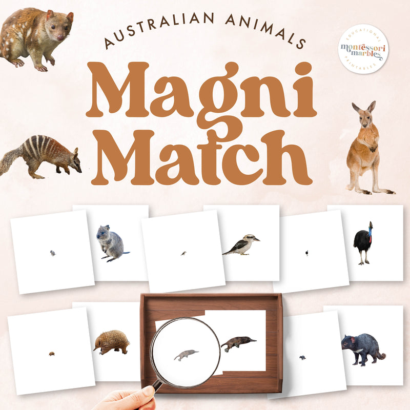 Australian animals magnifying glass matching activity for geography study