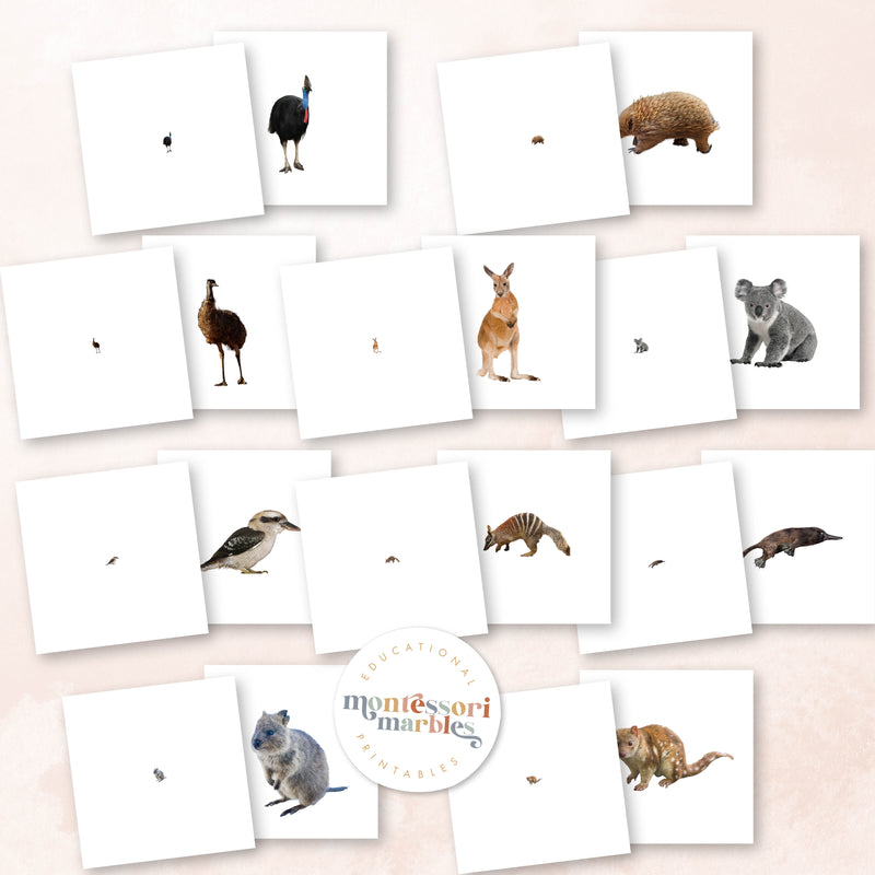 Australian Animals Magni Match