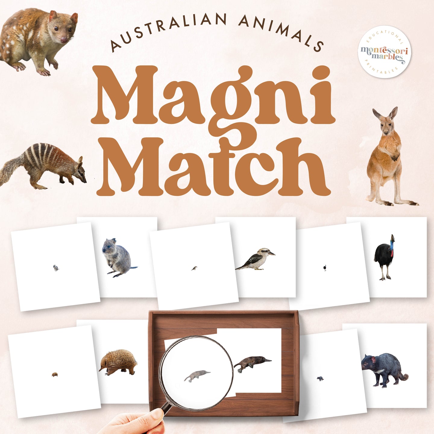 Australian Animals Magni-Match