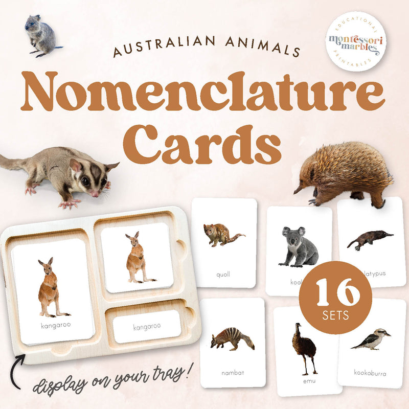 Australian animals 3-part nomenclature cards for geography and wildlife — ages 3-6