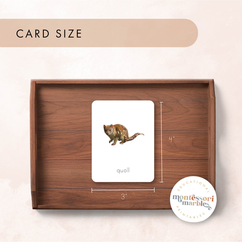 Australian Animals Nomenclature Cards
