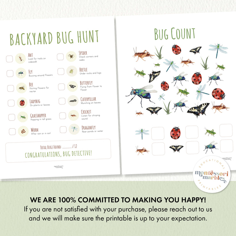 Summer Backyard Bug Hunt