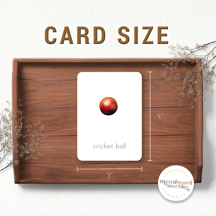 Ball Sports Flash Cards