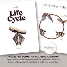 Load image into Gallery viewer, Bats Life Cycle
