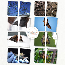 Load image into Gallery viewer, Bats Complete the Pictures
