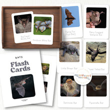 Load image into Gallery viewer, Bats Flash Cards
