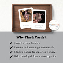 Load image into Gallery viewer, Bats Flash Cards
