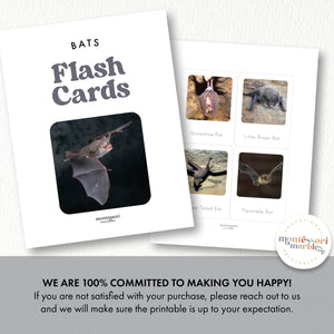 Bats Flash Cards