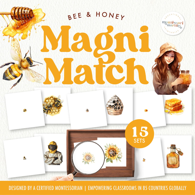 Bee and honey magnifying glass matching for insect observation — ages 3-6