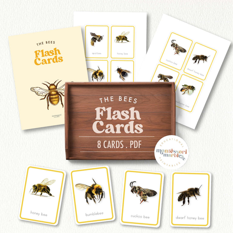 Bees Flash Cards