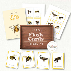 Bees Flash Cards