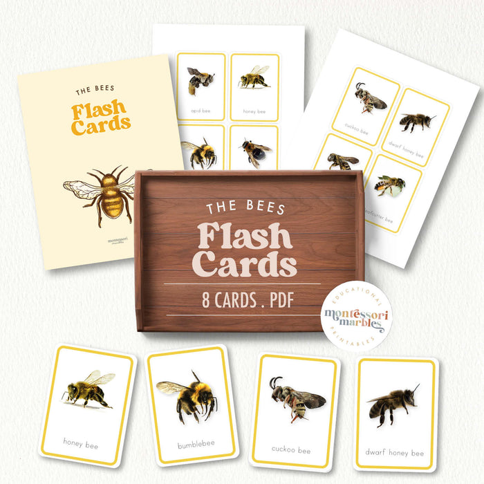 Bees Flash Cards