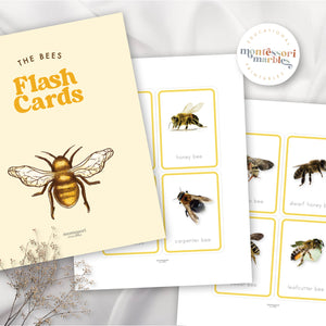 Bees Flash Cards