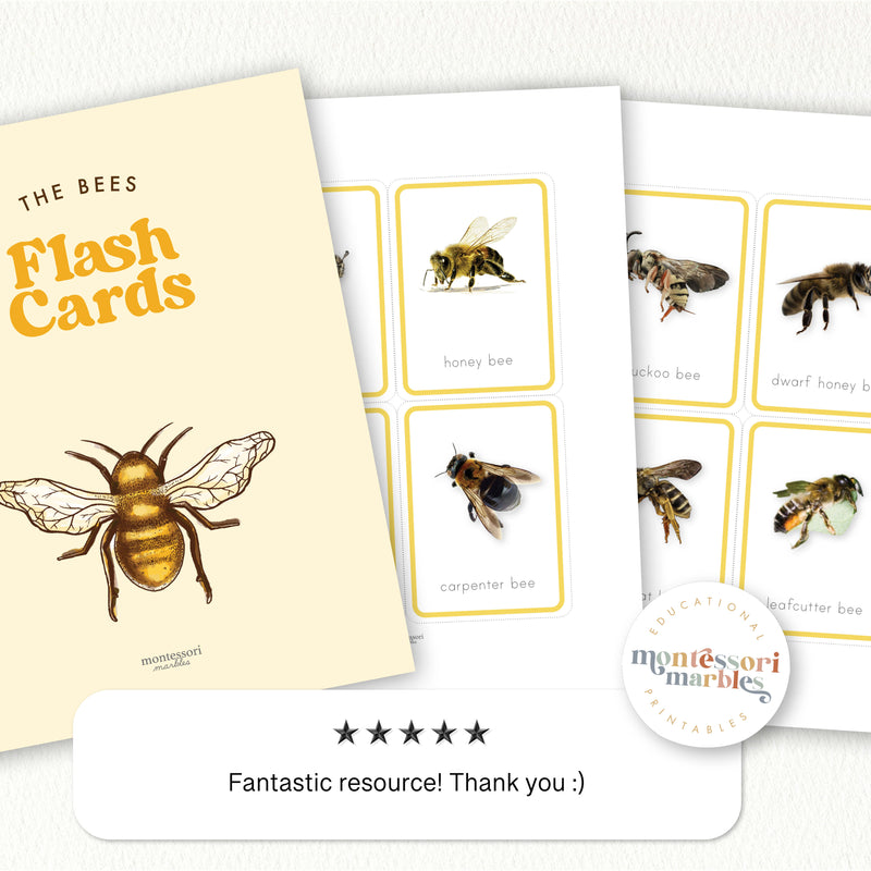 Bees Flash Cards