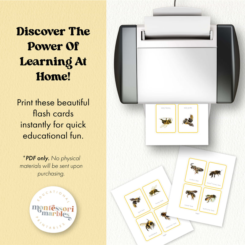 Bees Flash Cards