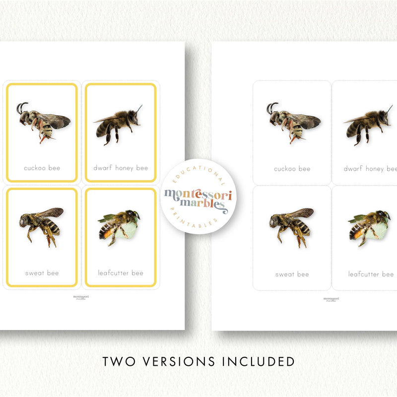Bees Flash Cards