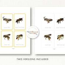 Load image into Gallery viewer, Bees Flash Cards
