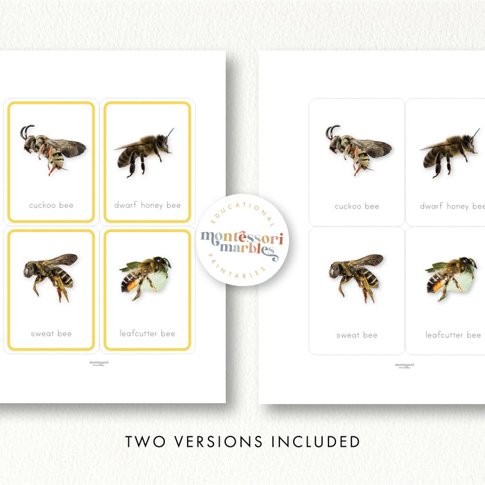Bees Flash Cards