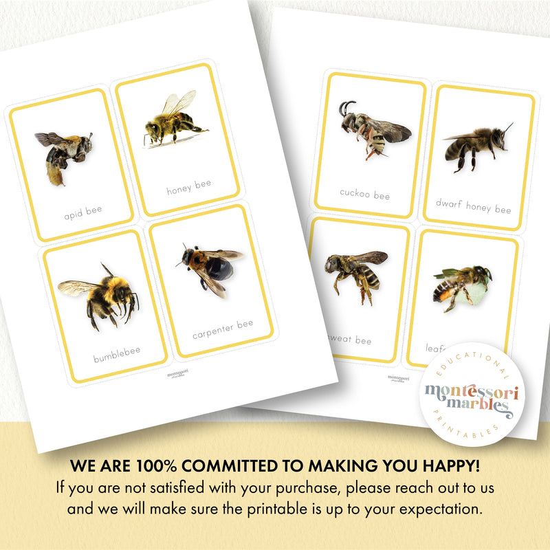 Bees Flash Cards