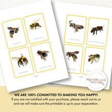 Load image into Gallery viewer, Bees Flash Cards
