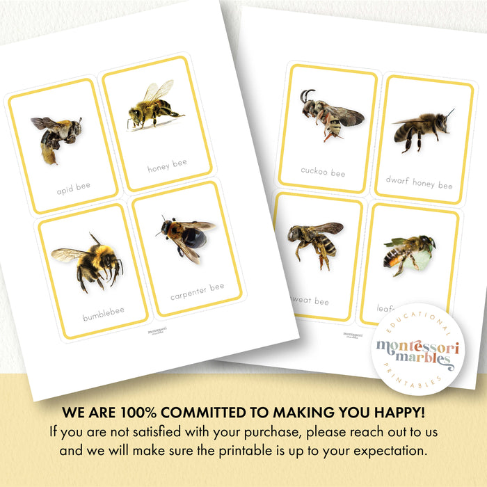 Bees Flash Cards
