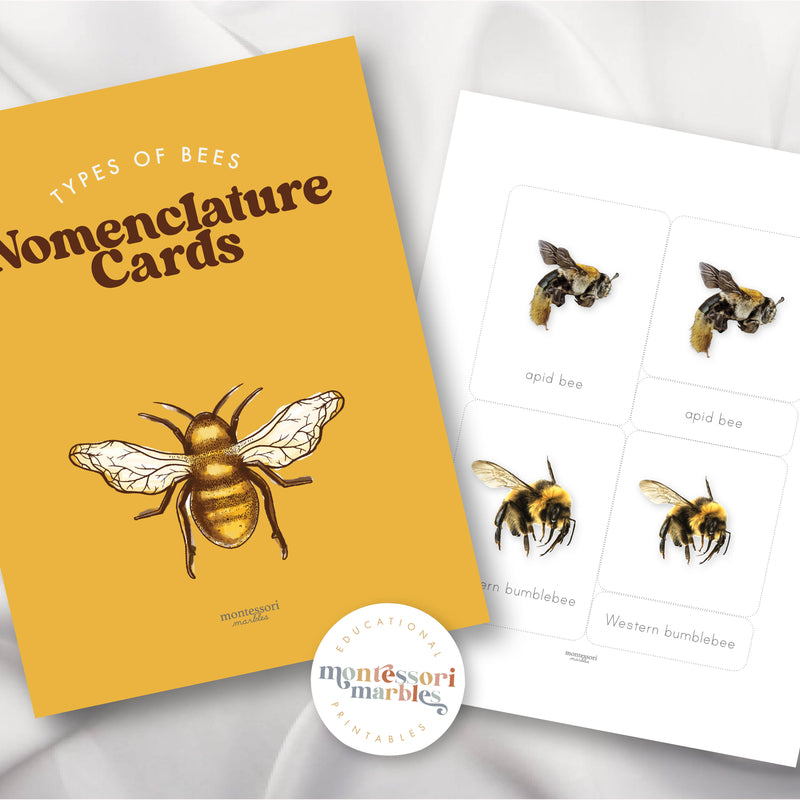 Bees Montessori 3-Part Cards