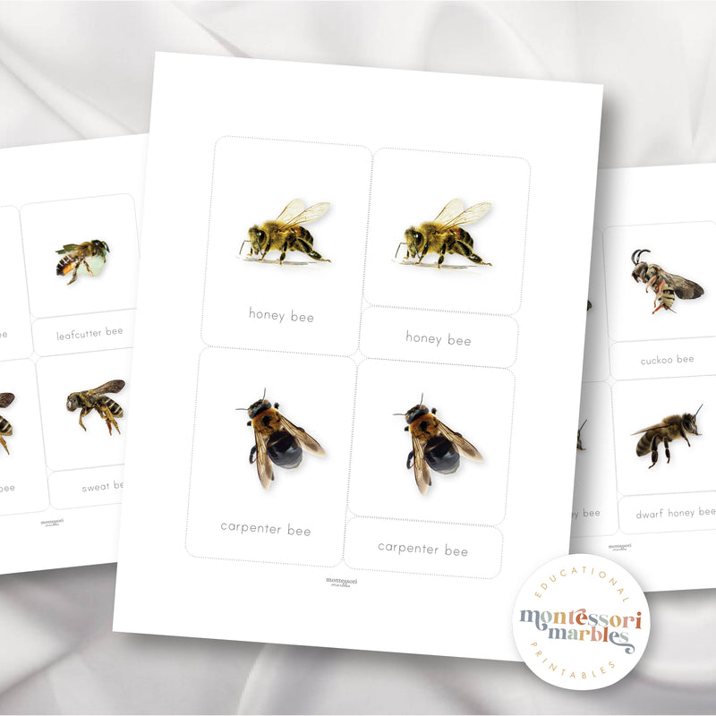 Bees Montessori 3-Part Cards
