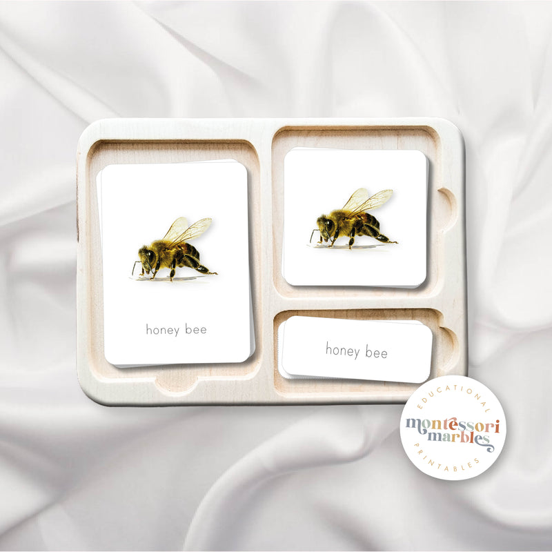 Bees Montessori 3-Part Cards