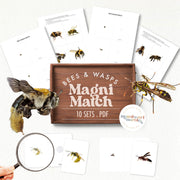 Bees magnifying match for spring observation — ages 3-6