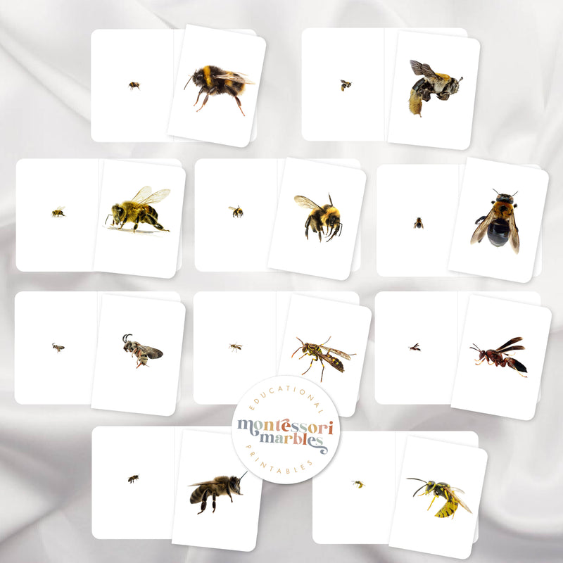 Bees Magni Match