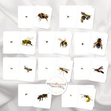 Load image into Gallery viewer, Bees Magni-Match
