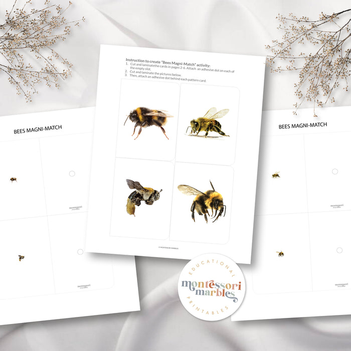 Bees Magni-Match