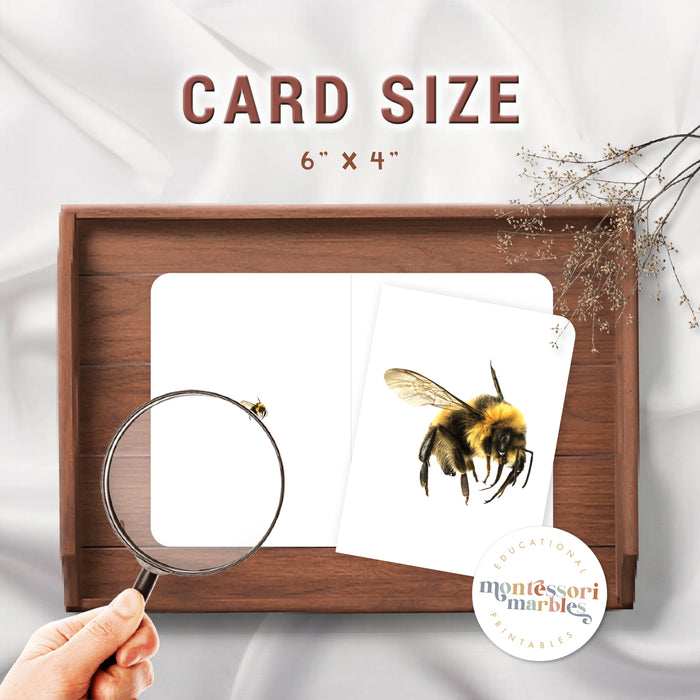 Bees Magni-Match