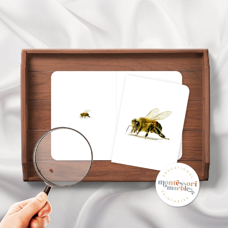 Bees Magni Match
