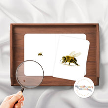 Load image into Gallery viewer, Bees Magni-Match
