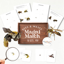 Load image into Gallery viewer, Bees Magni-Match
