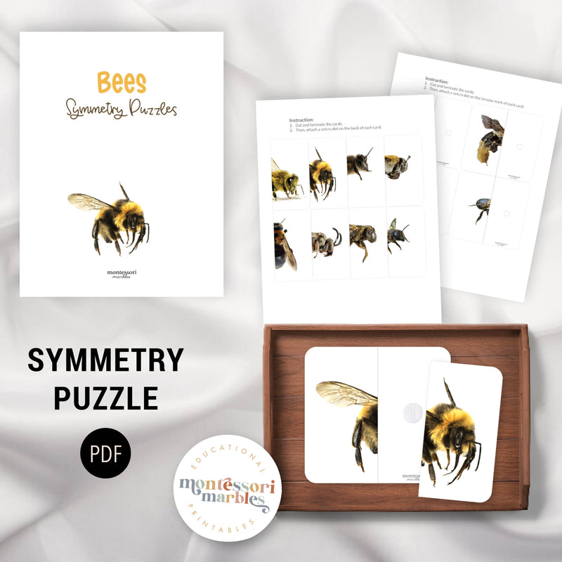 Bees & Honey Mini Bundle