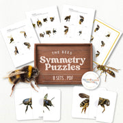Bee symmetry puzzles — two-piece matching with insect designs for spring learning