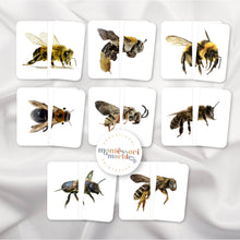 Load image into Gallery viewer, Bees Symmetry Puzzles
