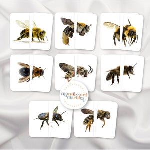 Bees Symmetry Puzzles