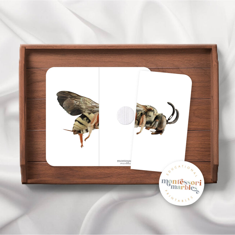 Bees Two-Piece Puzzles