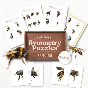 Bees Symmetry Puzzles