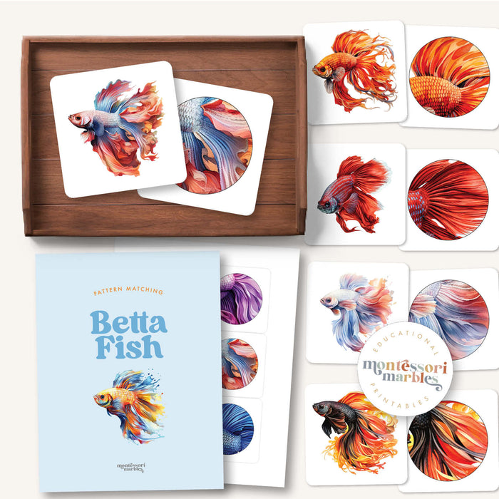 Betta Fish Pattern Matching