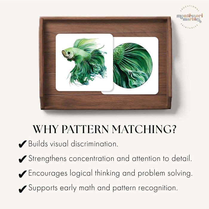 Betta Fish Pattern Matching